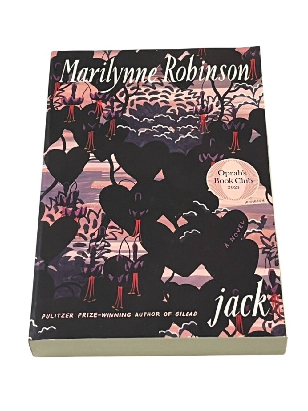 Jack by Marilynne Robinson Oprah's Book Club Paperback Literary Fiction
